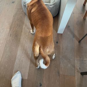 Meet your Posher, Randy